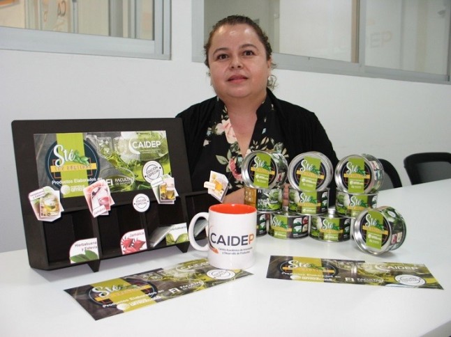 Tés orgánicos gourmets con propiedades antioxidantes