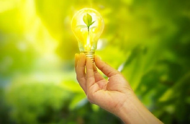 6 tecnologías que ayudan a que las empresas sean más ecológicas