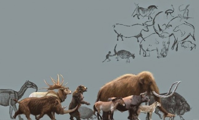 El MNCN inaugura dos exposiciones con los bóvidos y leones como protagonistas