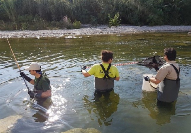 Una investigación de la UPV predice una reducción del agua disponible del río Serpis de hasta el 43% en 22 años