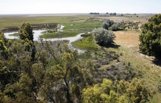 Las turberas terminarán por absorber menos carbono por el calentamiento