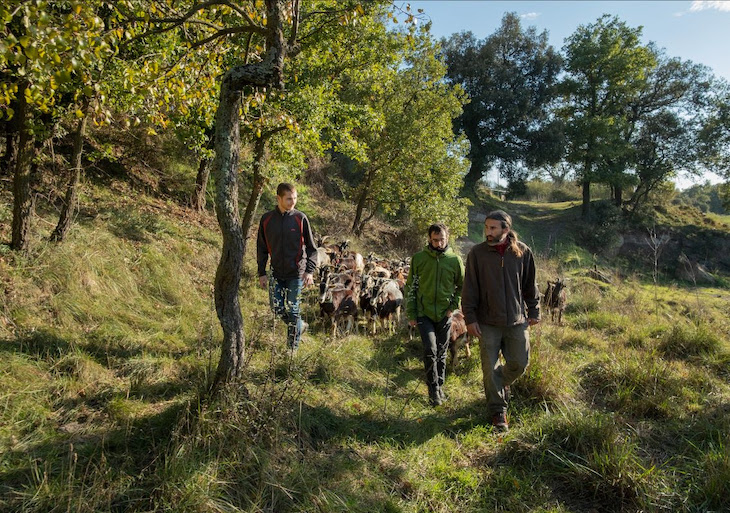 Trece millones de euros para una sociedad más ecológica de la mano de Fundación Daniel y Nina Carasso en 2020