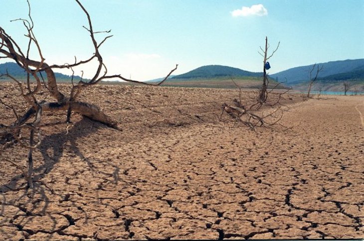 C. Valenciana. El ‘Observatorio del Cambio Climático’ ‘inactivo’ ante los fondos europeos