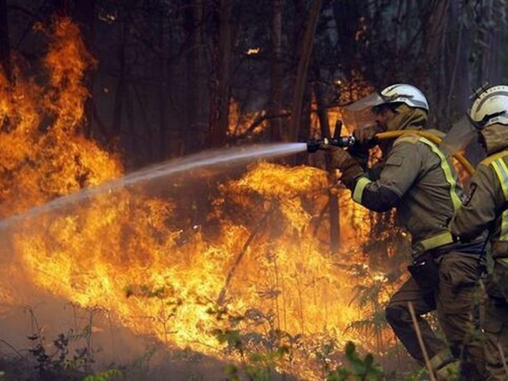 La región mediterránea