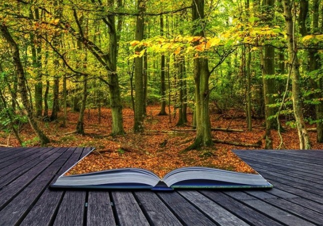 PEFC organiza lecturas en la Feria del Libro de Madrid en pro de la sostenibilidad