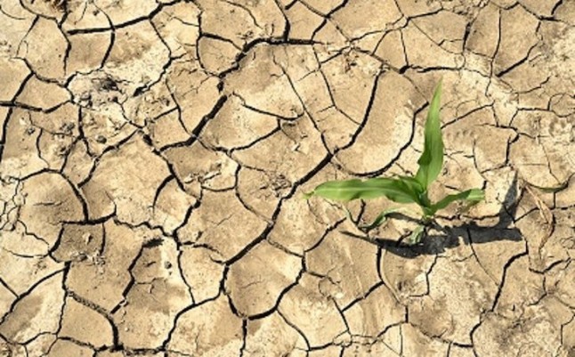 ElPozo se suma a la comunidad #PorElClima para luchar contra el cambio climático