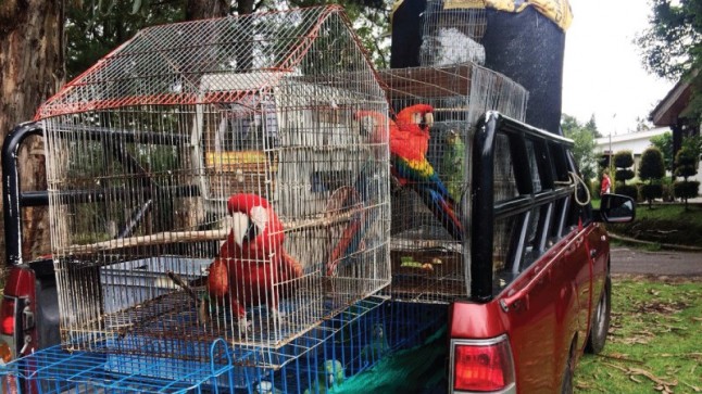 26 especímenes de fauna silvestre fueron trasladados hacia el Centro de Rescate Bioparque YanaCocha