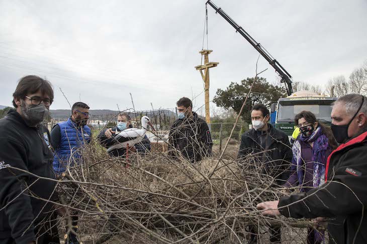 Navarra. Colocado en la Magdalena el poste de madera