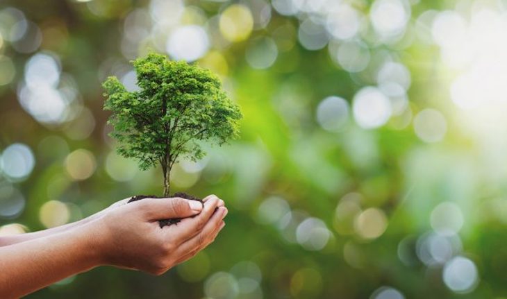 UOC y Erasmus+ buscan reducir el impacto ambiental de los viajes de proyectos internacionales