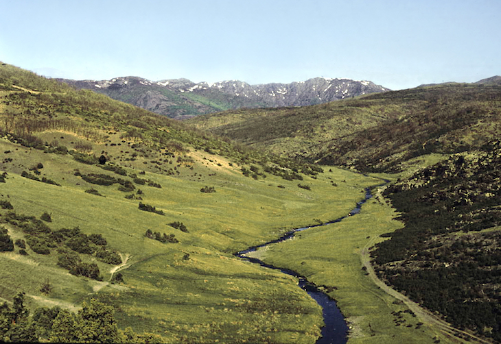 Referéndum para decidir si se implementa una salida del parque natural ‘Sierra Norte de Sevilla’