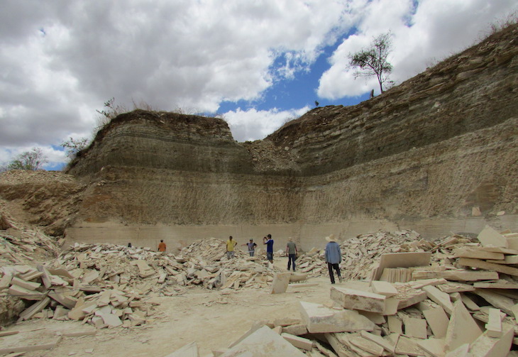 Descubren una nueva especie de rana de 119 millones de años que conservaba su contenido estomacal