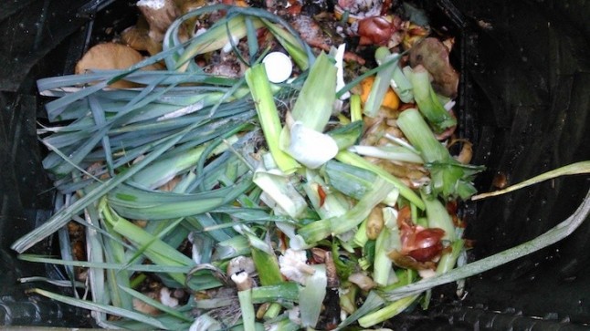 El concello coruñés de Santiso se integra en el programa de compostaje doméstico de Sogama