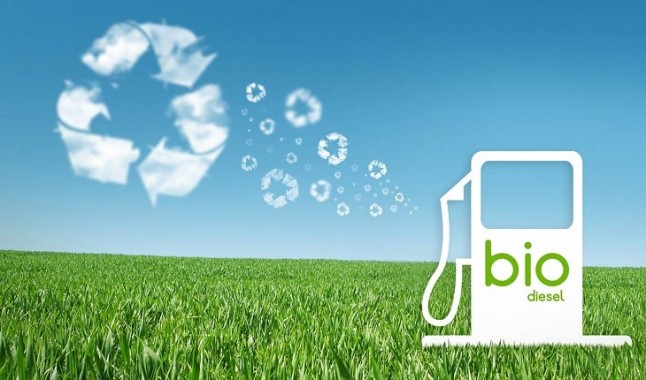 Crónica de una muerte anunciada: fin al biodiésel de palma