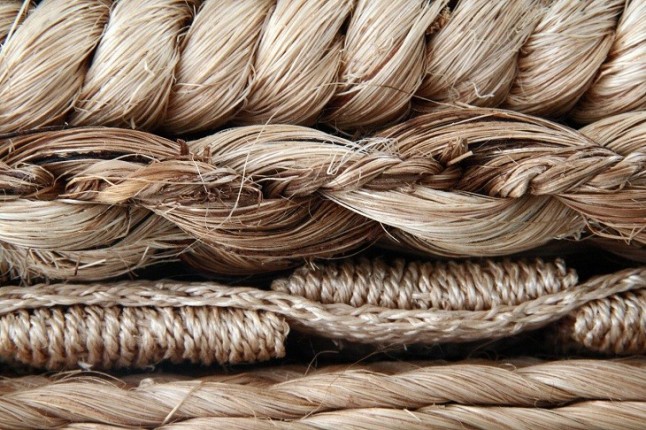 Fibras textiles procedentes de lavadoras anegan los fondos marinos del sur de Europa