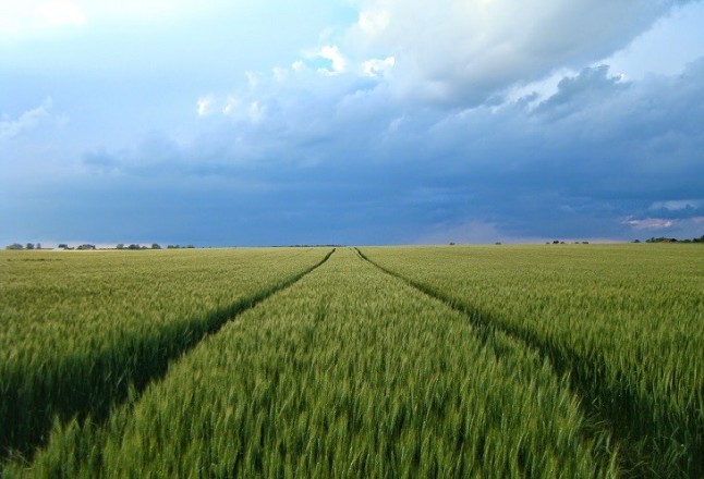 Curso sobre la adaptación de cultivos de climas frescos a los efectos del cambio climático