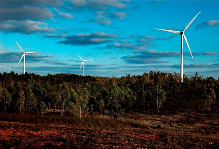 Iberdrola ‘referente’ de inversión en energías renovables