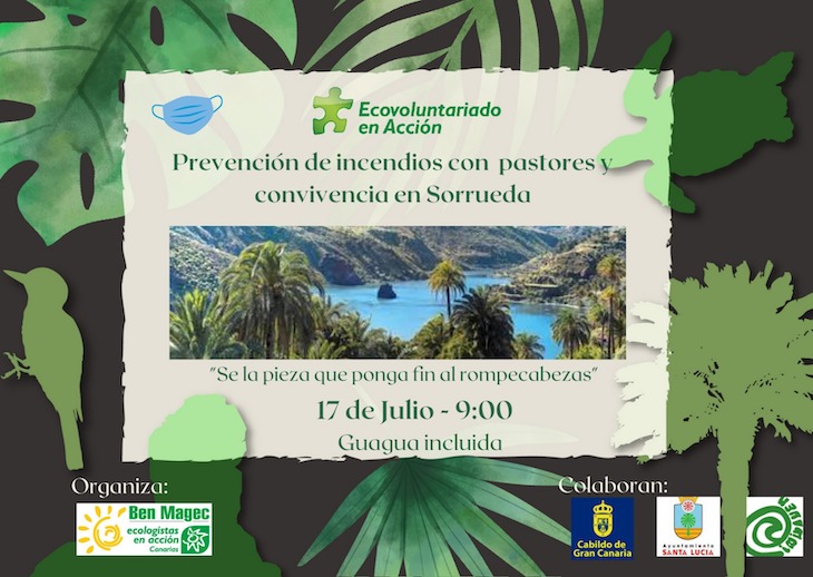 Canarias. Prevención de incendios con pastores y convivencia en Sorrueda