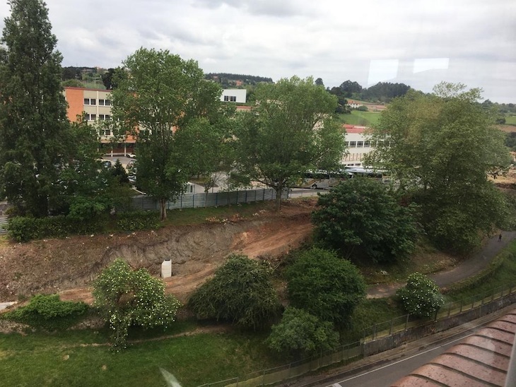 Asturias. Sigue el arboricidio privado en terrenos públicos en Avilés