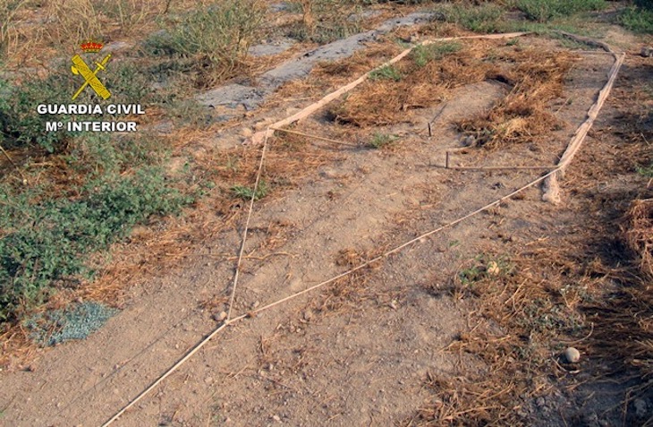 La Benemérita investiga a un vecino de Águilas por la captura ilegal de aves fringílidas