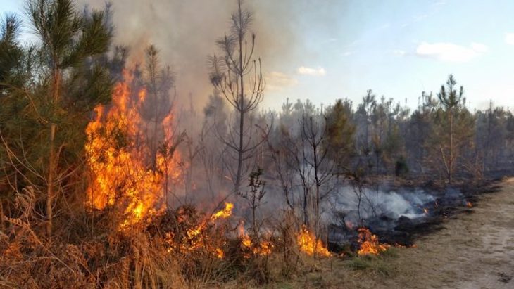 Europa incrementa sus recursos contra los incendios forestales con dos nuevos aviones cisterna