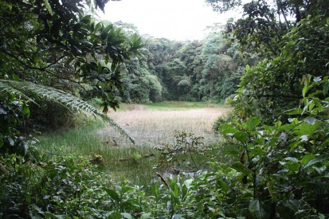 Cómo cambiará el paisaje terrestre en los próximos 150 años