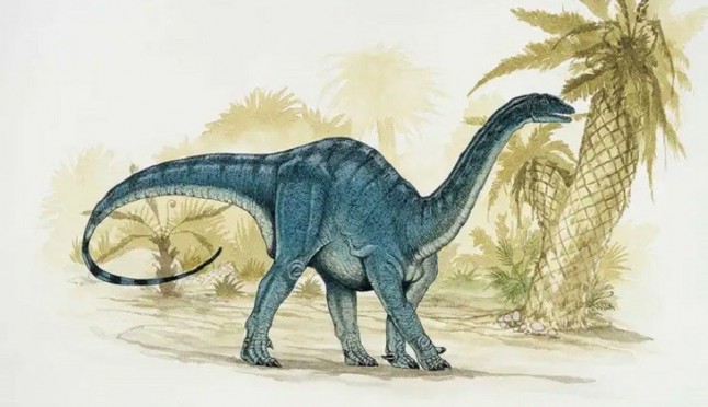 Increíble. Un dinosaurio cuadrúpedo que se hacía bípedo de adulto