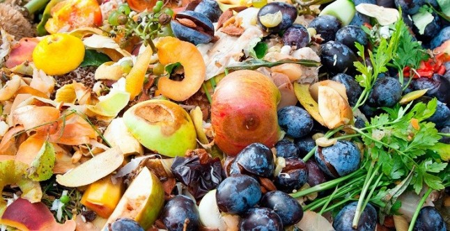 Las claves para reducir al mínimo el desperdicio alimentario en el marco de una cadena agroalimentaria sostenible