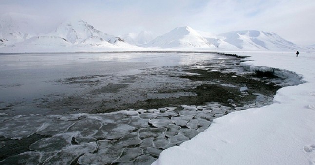 Los microorganismos en el océano austral condenados a desaparecer