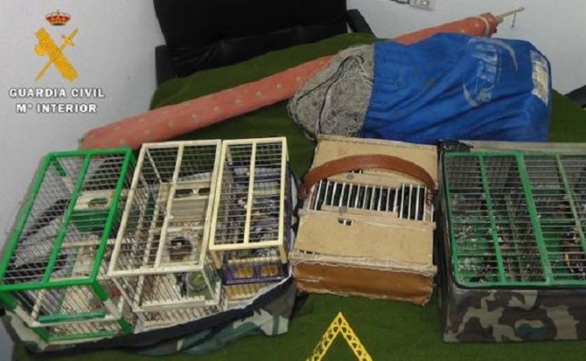 La Guardia Civil investiga a una persona por utilizar medios de caza ilegal en Tabernas