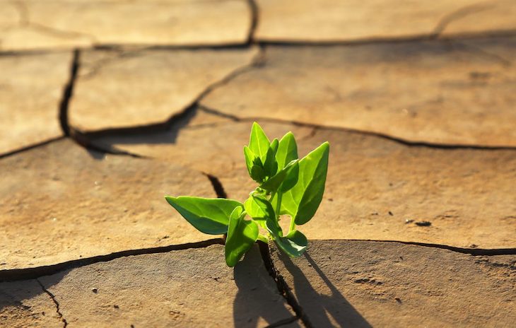 Equo presiona al Gobierno para mejorar la ley de Cambio Climático
