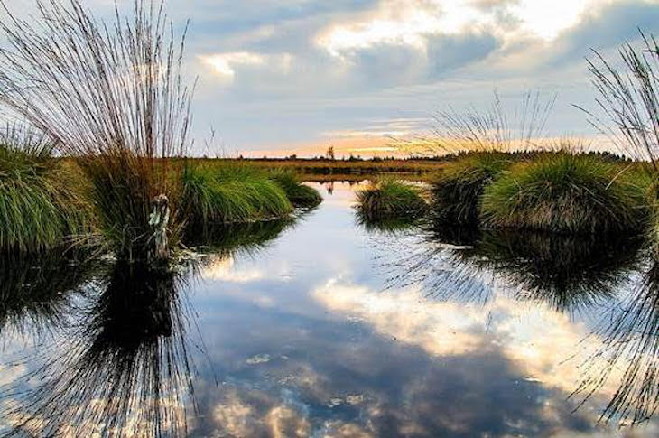 Día Mundial de los Humedales 2021 – 2 febrero