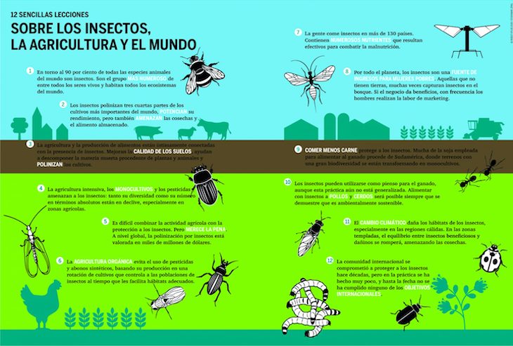 Descárgate ‘gratis’ el ‘Atlas de los Insectos’