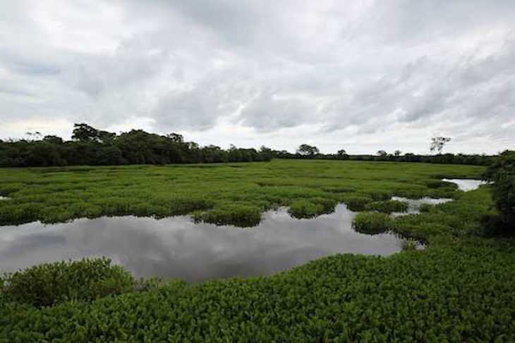 México fortalece la gobernanza para atender problemática de humedales de montaña en San Cristóbal de las Casas