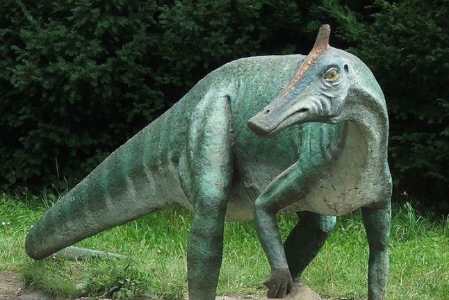 Las ovejas del Mesozoico prosperaron gracias a sus atractivas crestas