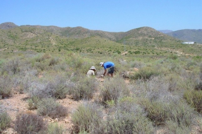 Identifican los 80 hongos más poderosos del mundo
