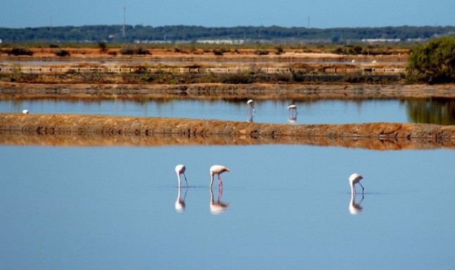 Casi la mitad de los humedales de la cuenca del Mediterráneo ha desaparecido en el último medio siglo