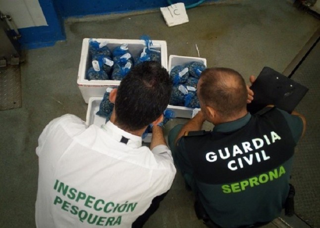 Intervenidos en Guarromán (Jaén) 130 kilos de aletas de tintorera por no poder acreditar su trazabilidad