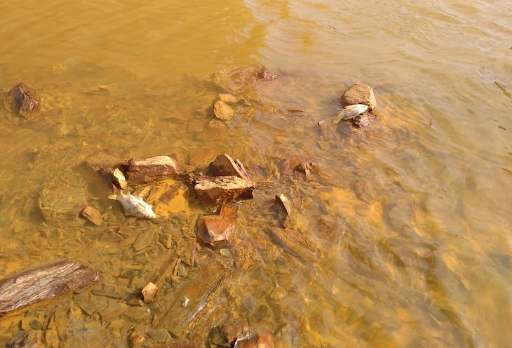 Qué sabes de los ‘ríos rojos’