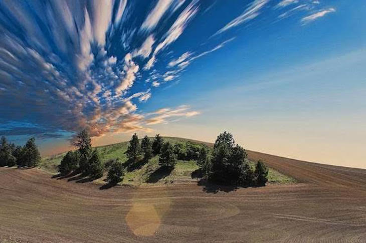 Día Mundial del Suelo 2020