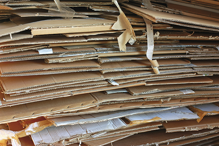 Logroño ‘líder’ en gestión de la recogida selectiva de papel y cartón