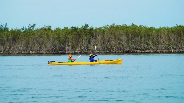 Nueva tecnología para repoblar humedales de Baja California Sur