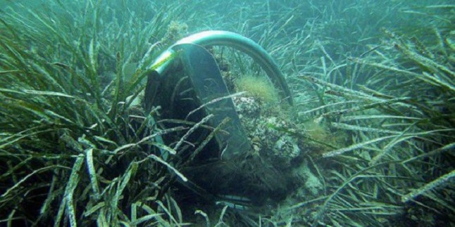 El GOB tacha de "débil" la capacidad sancionadora del decreto de conservación de la posidonia