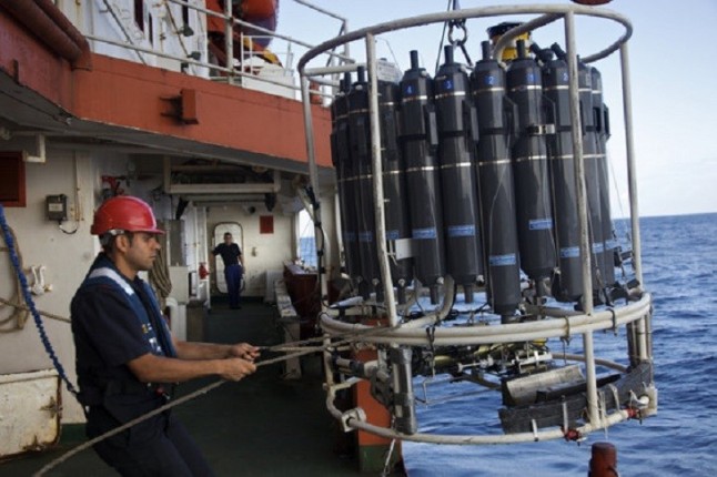Los microorganismos del fondo del mar proceden del oceáno superficial