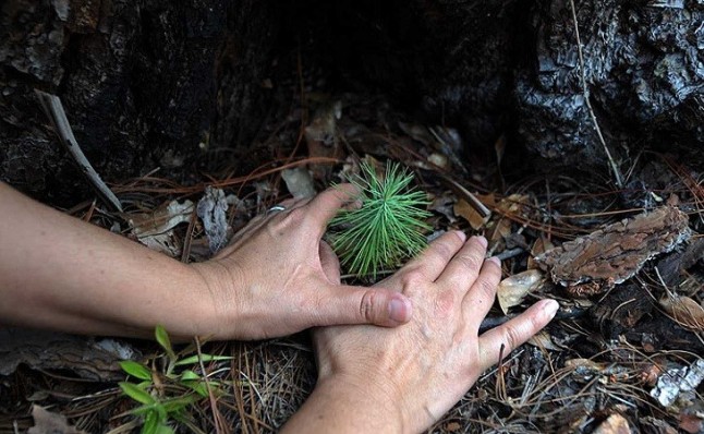 España entra en deuda ecológica con el planeta