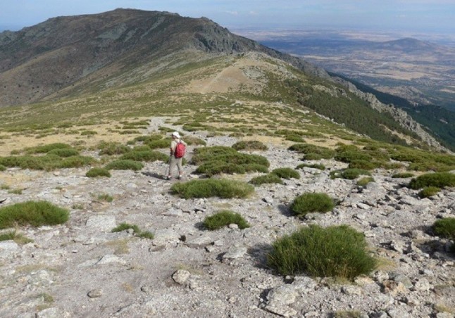 Por qué reducen el nivel de protección actual de la Sierra de Guadarrama