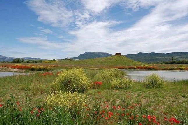 Restauran el Humedal de Pedroko (Salvatierra)