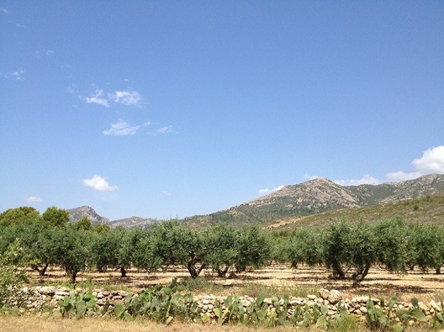 La temperatura media ha aumentado 1