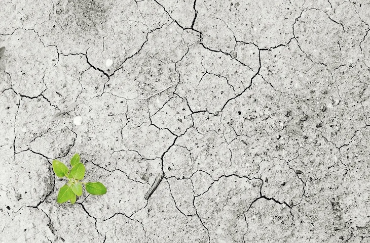 Los jóvenes españoles quieren poner su granito de arena para frenar el calentamiento global