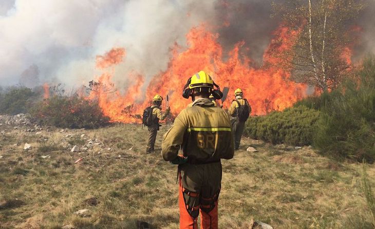Más de 5.000 efectivos lucharán contra el fuego forestal este verano en el Plan de Incendios para apoyar a las CCAA