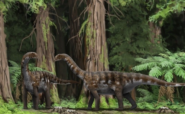 Qué sabes del dinosaurio ‘Oceanotitan’